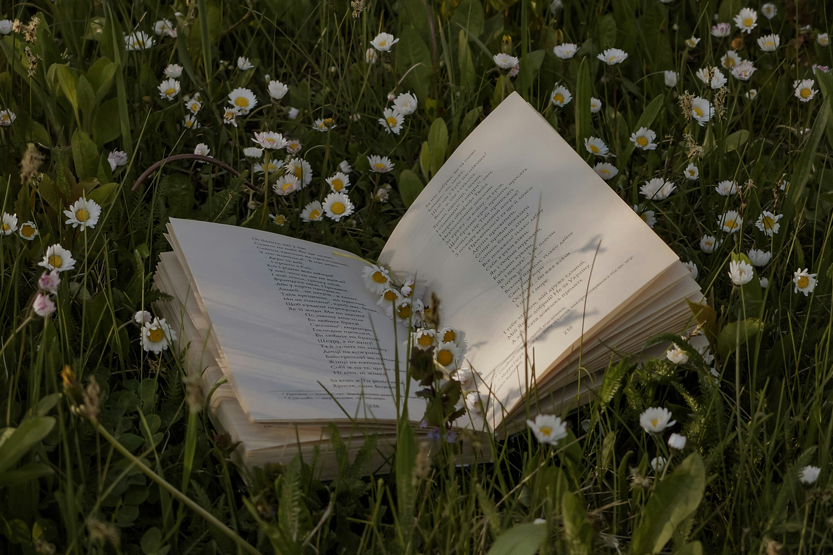 5 увлекательных и познавательных книг об экологии